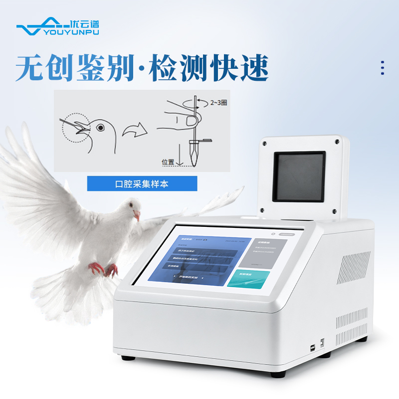 鸚鵡性別檢測(cè)儀