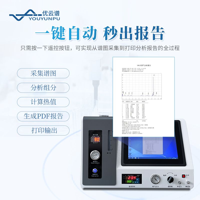 天然氣熱值分析儀